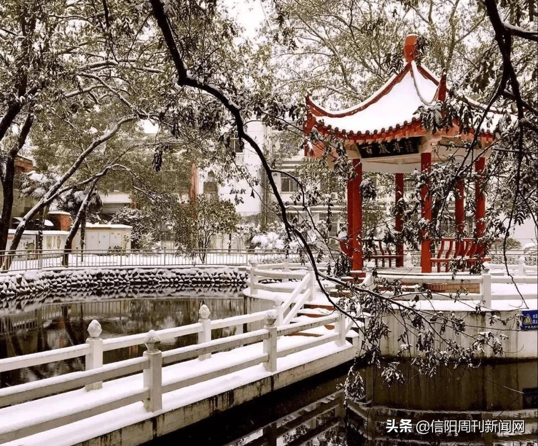 信阳一高电话,信阳一高咨询电话