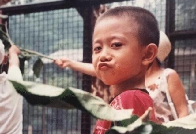 张一山谈杨紫生日,杨紫给张一山庆祝自己28岁生日