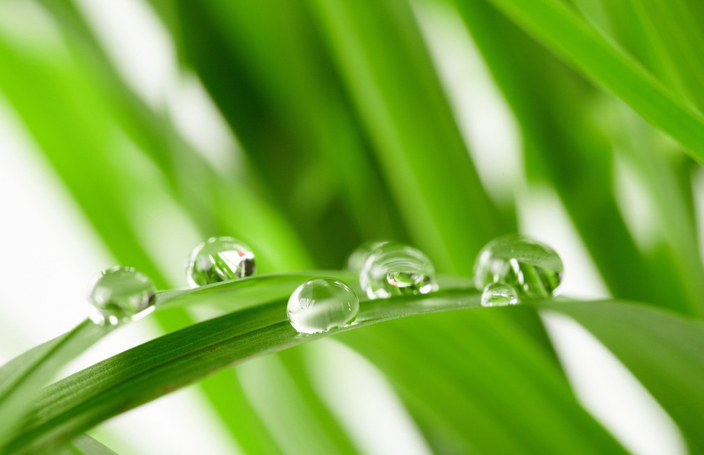 小聪明与大智慧书,小聪明与大智慧名人佳句