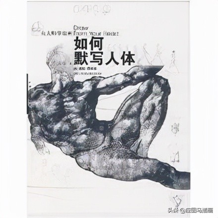 插画师入门必备,画画初学者临摹插画书