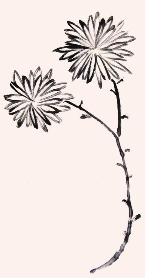 国画菊花的叶子画法步骤入门,梅兰竹菊国画菊花初学者怎么用笔