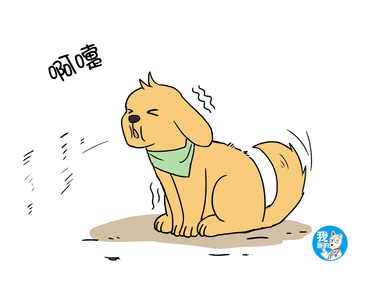 给狗狗穿衣服为什么会咬主人,给狗狗穿衣服不算爱狗吗