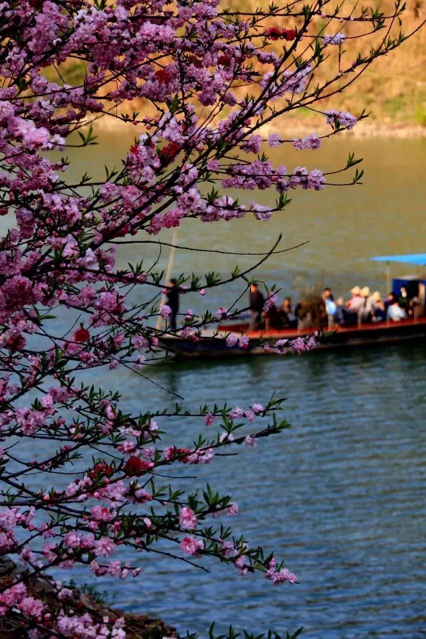 一个徽州惊艳全世界,徽州凭什么惊艳世界