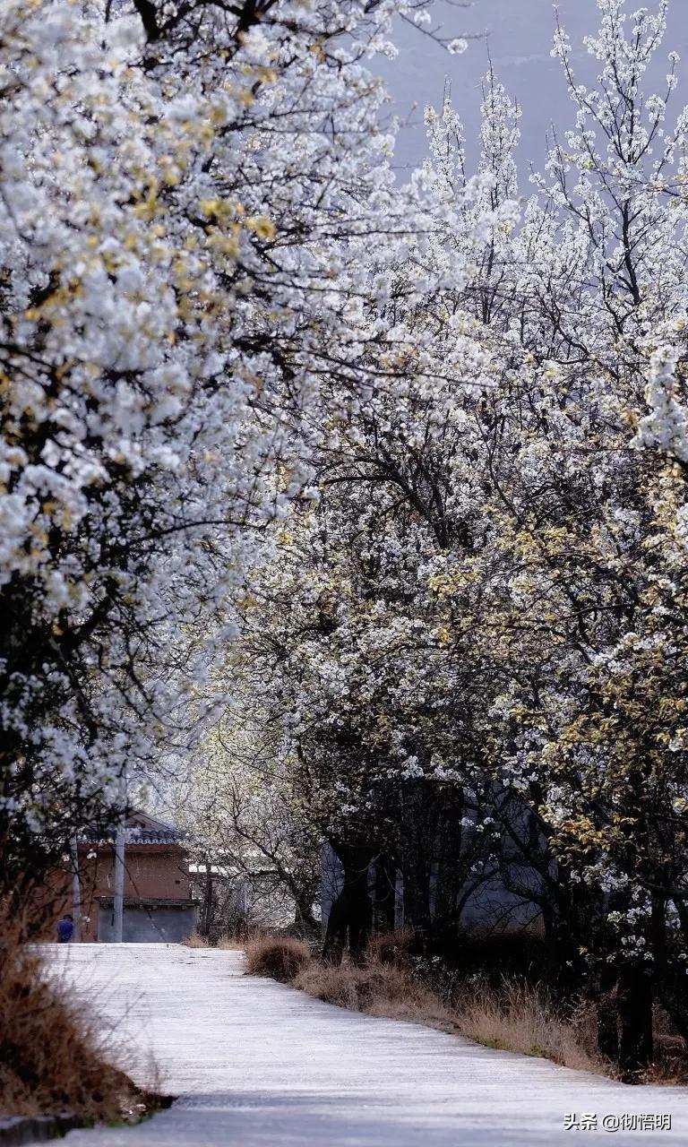 全世界最美50处旅游景点,全球公认世界最美的10个地方