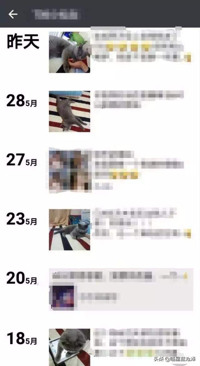 猫咪只吃猫粮不吃肉类可以吗,猫咪只吃肉不吃猫粮怎么补充营养