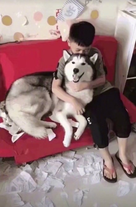 爆笑作业和作文,爆笑作业大全