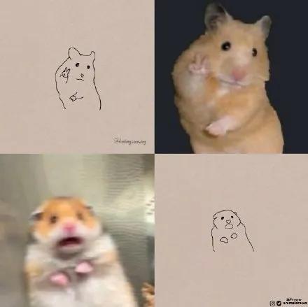 一波可爱动物简笔画,超火的简笔画动图