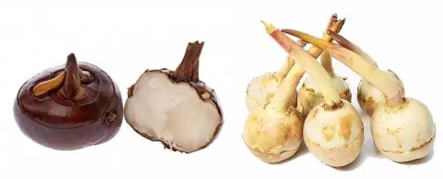 夜深知雪重读音,夜深知雪重