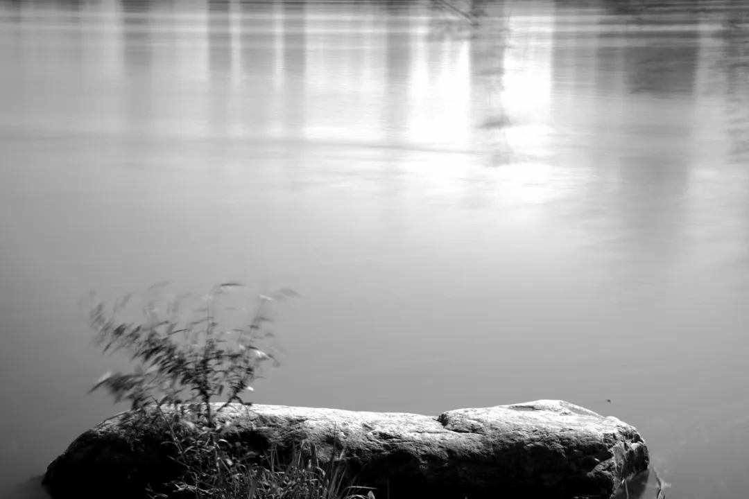 津门网金熙男:宁静的太子河