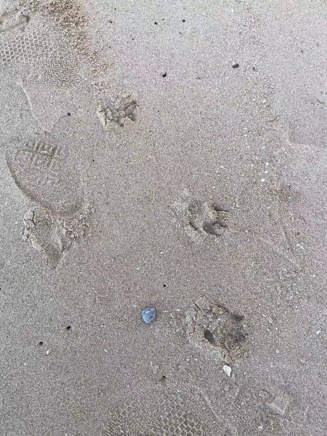 厦门香格里拉酒店附近攻略,厦门香格里拉酒店儿童乐园