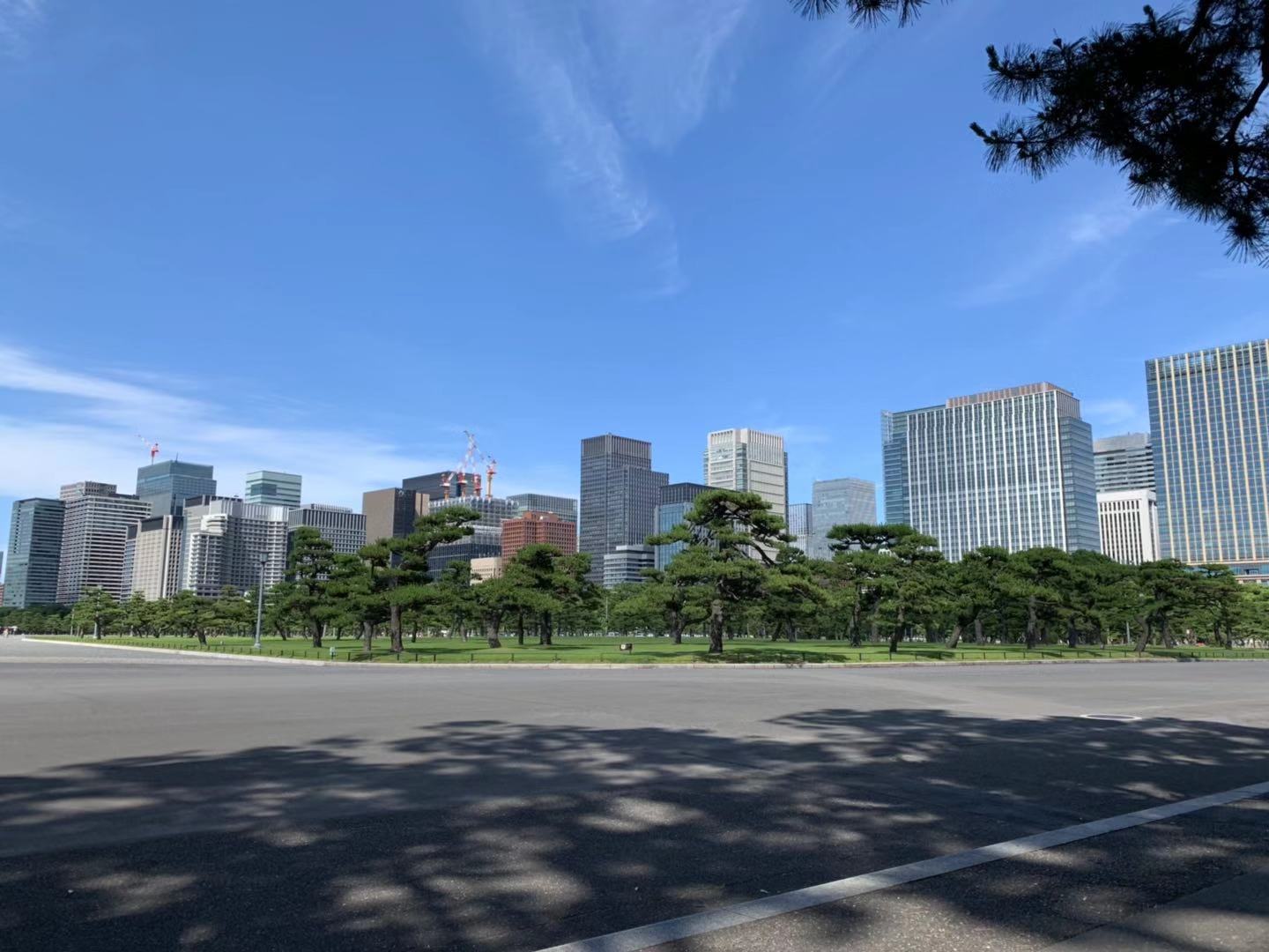 东京游记攻略,东京旅游指南攻略