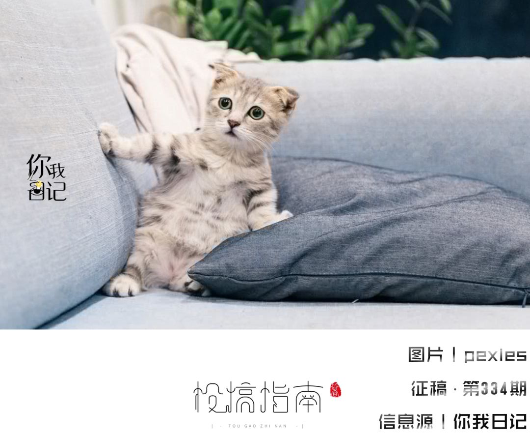 征文约稿小助手公众号投稿稿费,公众号征稿一次性稿费或长期约稿