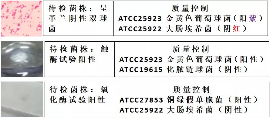 窥一斑而识全貌,窥一斑而知全貌出自哪里