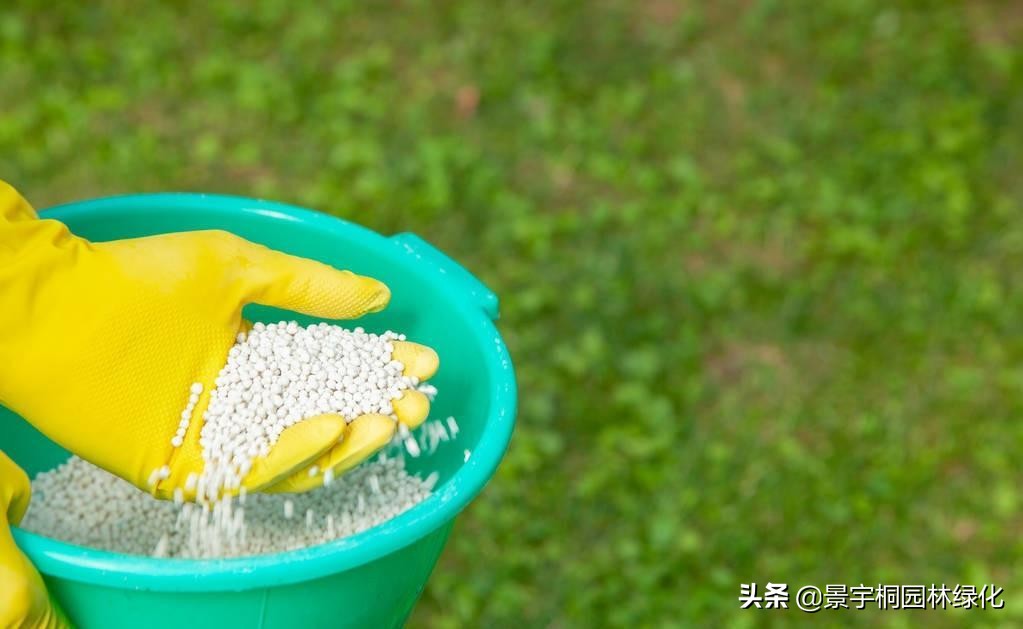 园林绿化养护精细化管理,园林绿化养护好的做法