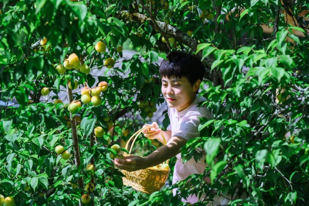 鑵惧啿闆曟鏁欑▼,鑵惧啿闆曟