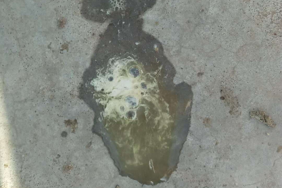 家禽顽固性肠炎，治标治本是关键,良心推荐