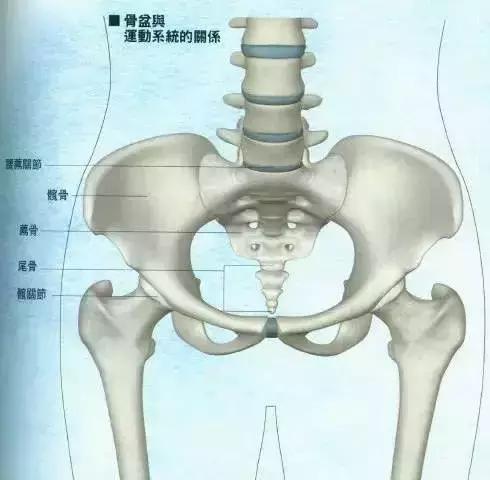 第三次做骨盆调理,稳定骨盆最简单的办法