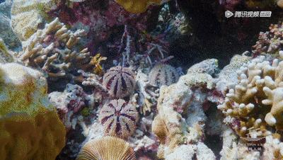 一个男人嘴特馋好不好,男人老是馋肉怎么回事