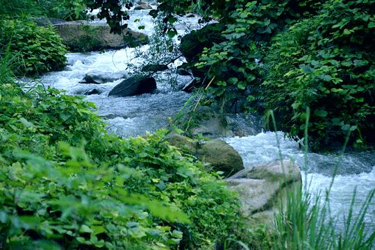 夏启平、陈阳梅《挑风担雨追文梦－记张冬平》（山径）