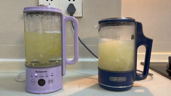 2021年哪款养生壶比较好,品牌耐用养生壶推荐排行榜第一名