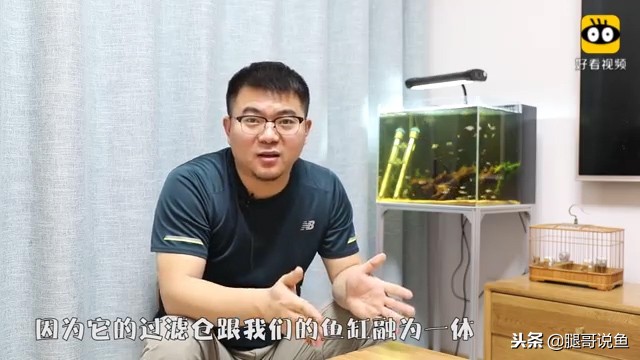 大缸什么过滤效果最好,什么过滤方式小缸效果最佳