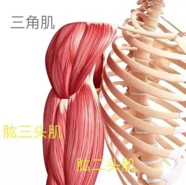 触诊的意思是什么,触诊的意义