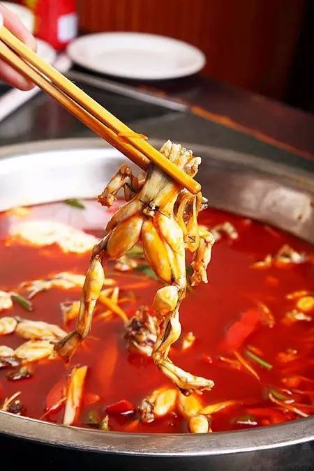 成都川妹美食攻略,成都美食攻略日料