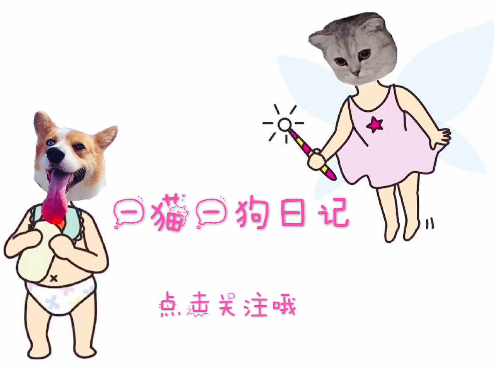 春节猫咪寄养注意事项,猫咪寄养还是带回家好