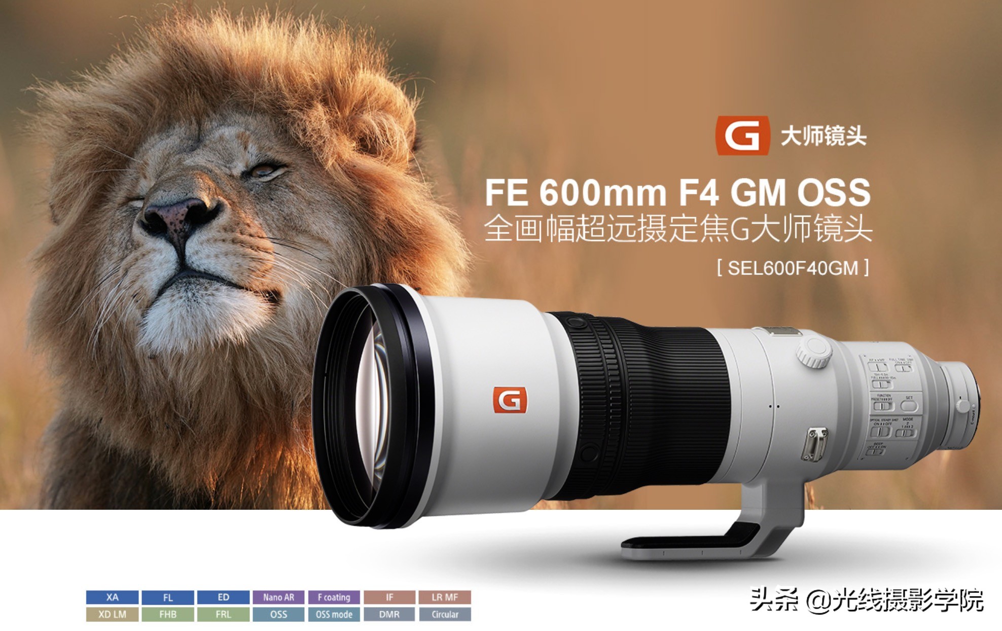 索尼最新发布的两款相机对比,索尼近期会发布哪些相机新产品