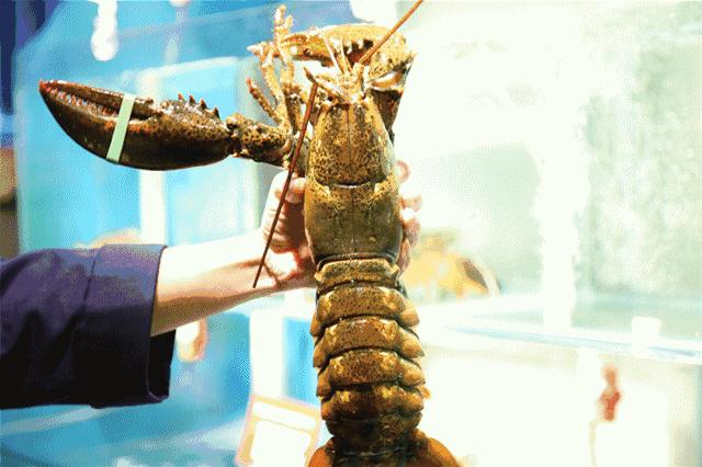 扒一扒大众甲壳虫的一串黑历史,扒小龙虾的视频