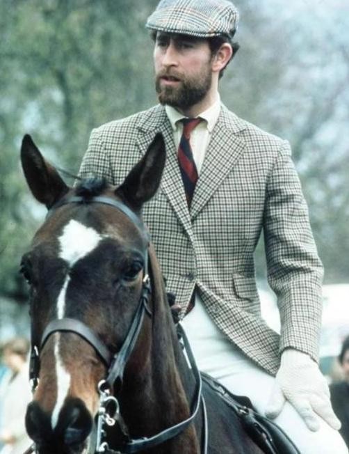 查尔斯长得像谁,查尔斯评价哈里