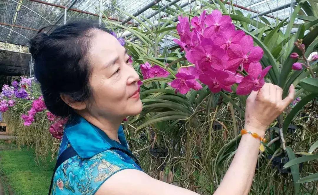 澶у鍑洪棬鏃呮父鎷嶇収濮垮娍鍚堣緫,涓浗澶у澶栧嚭鏃呮父