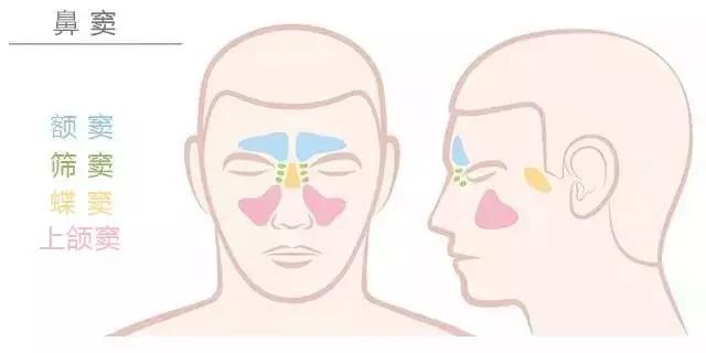 南阳医专一附院耳鼻喉科,南阳医专一附院耳鼻喉科主任