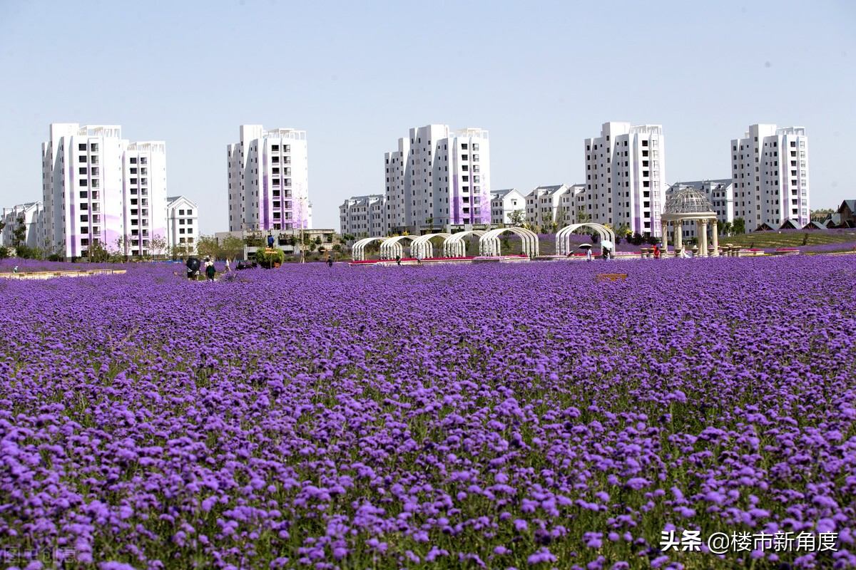 甘肃省金昌市的最新规划,甘肃沙漠城市