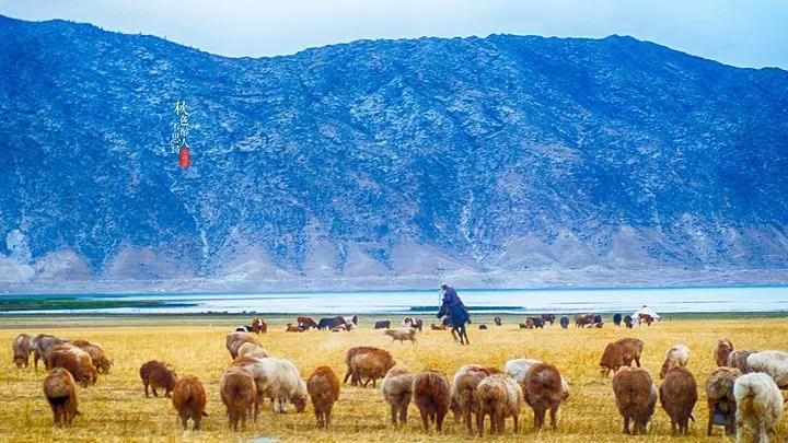 2022年网络热点事件有哪些,2021十大网络热点事件