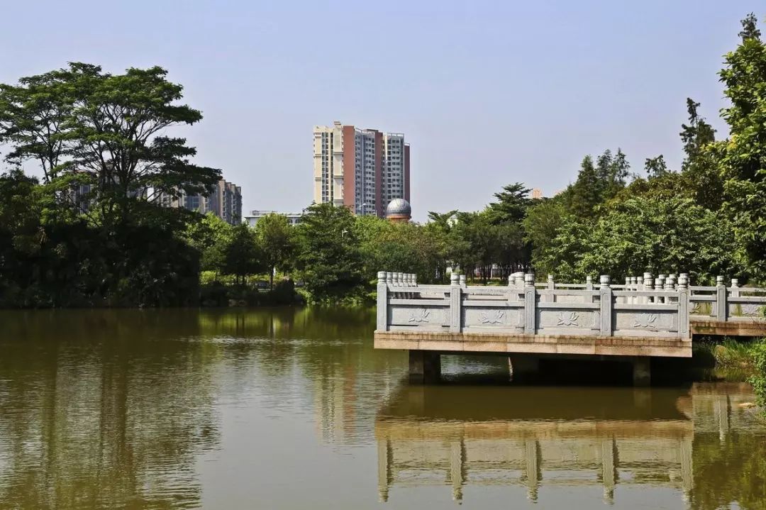 番禺广场70年,番禺市桥70年代图片