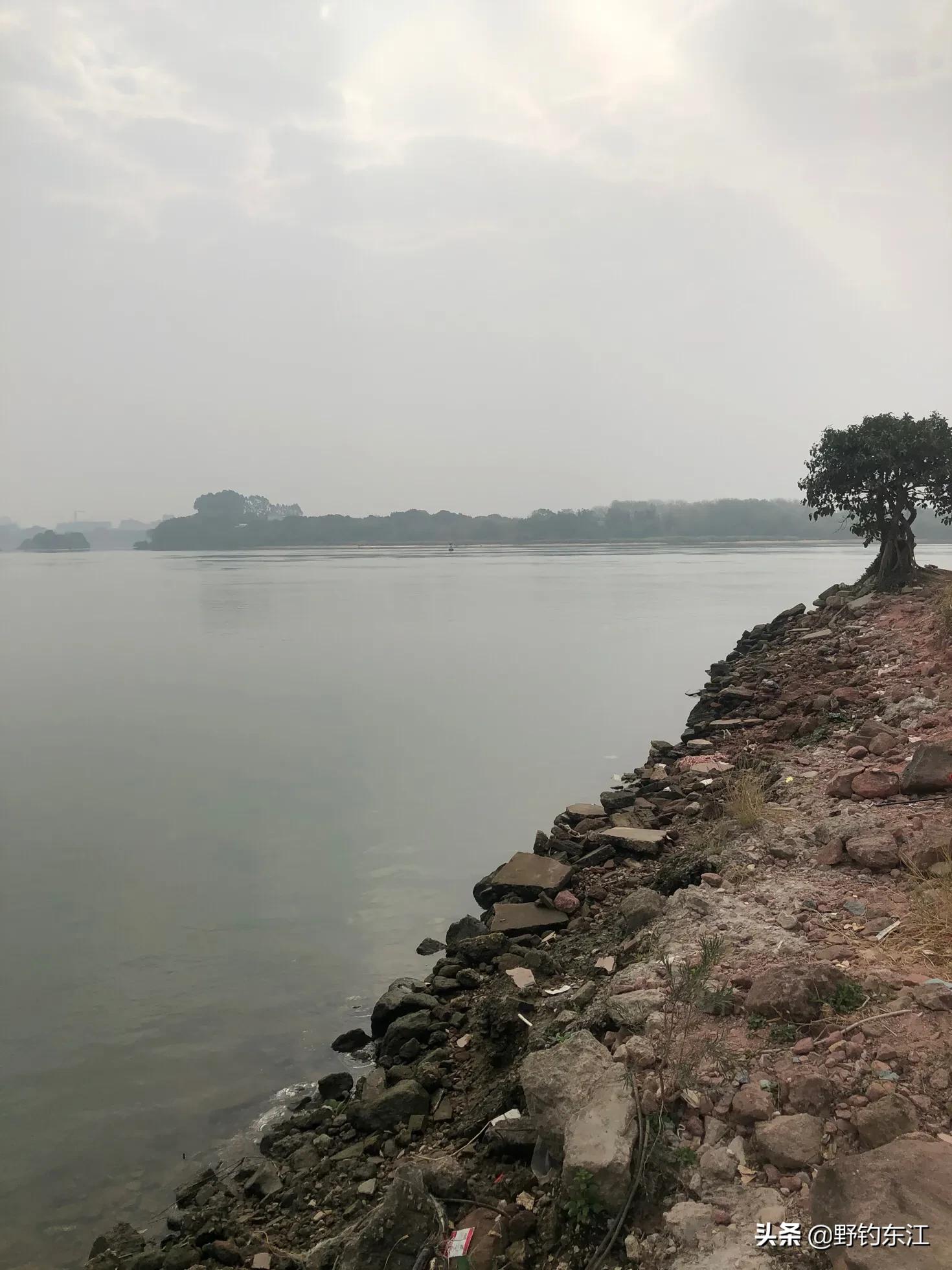 深圳大鹏野钓免费最佳地点,深圳福田野钓地点在哪里