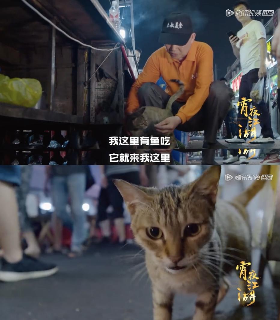 夜市摆摊日入9000元真能做到吗,夜市摆摊老板一天能挣多少钱