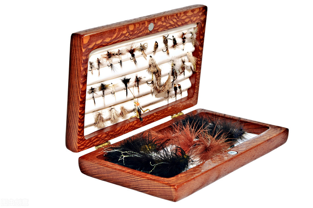 世界上的苍蝇为啥不能灭绝,苍蝇最怕什么为什么苍蝇不灭绝