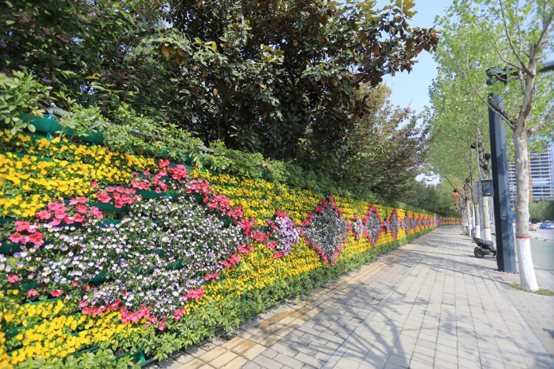 大棚脱贫致富路,蔬菜大棚托起乡村振兴致富梦