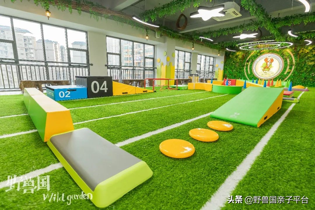 东莞儿童篮球培训机构哪个好,东莞儿童健身球哪家好