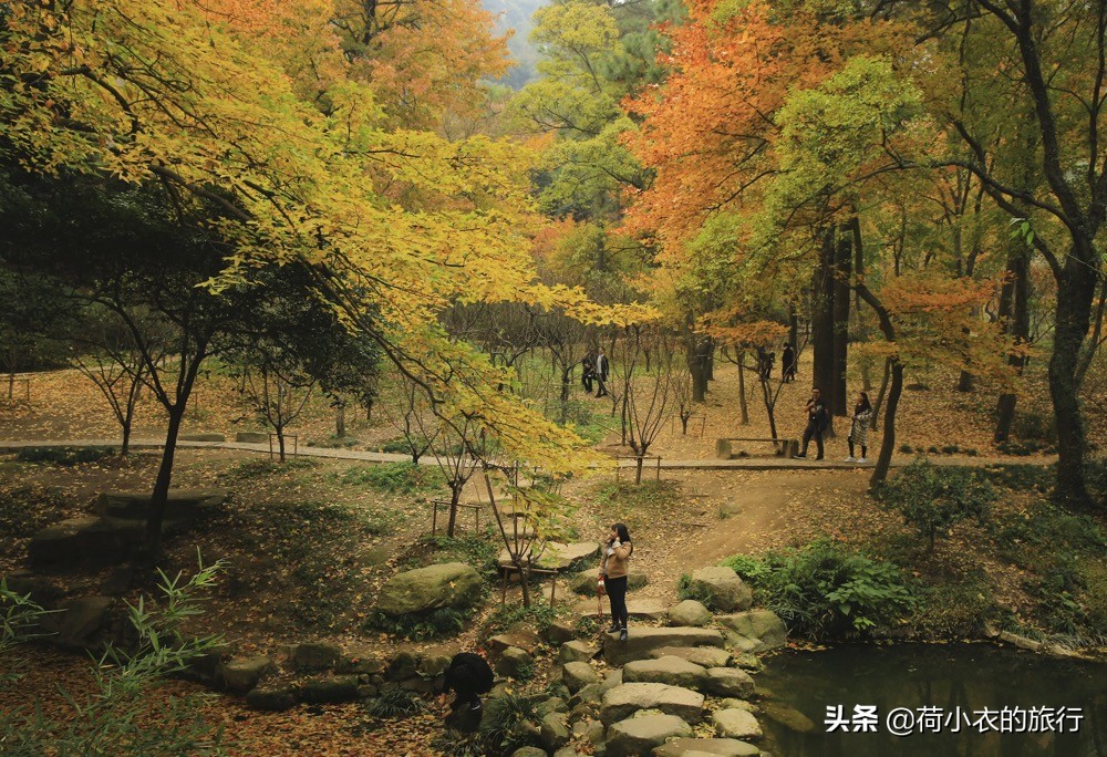 去苏州旅游必打卡的旅游景点,来苏州旅游必打卡