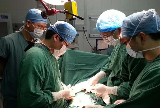 中山六院陈双医生年龄,中山大学附属第六医院陈双教授