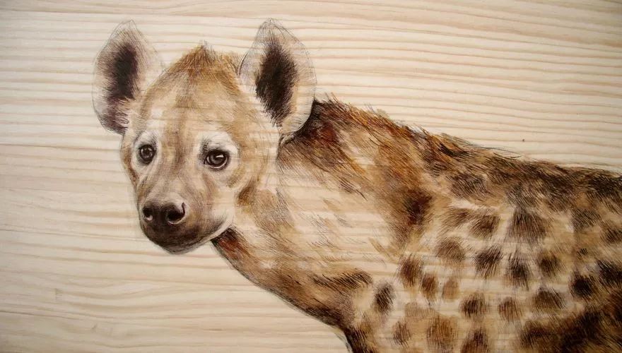 3d超写实彩铅画,超写实彩铅手绘细腻的让人咋舌