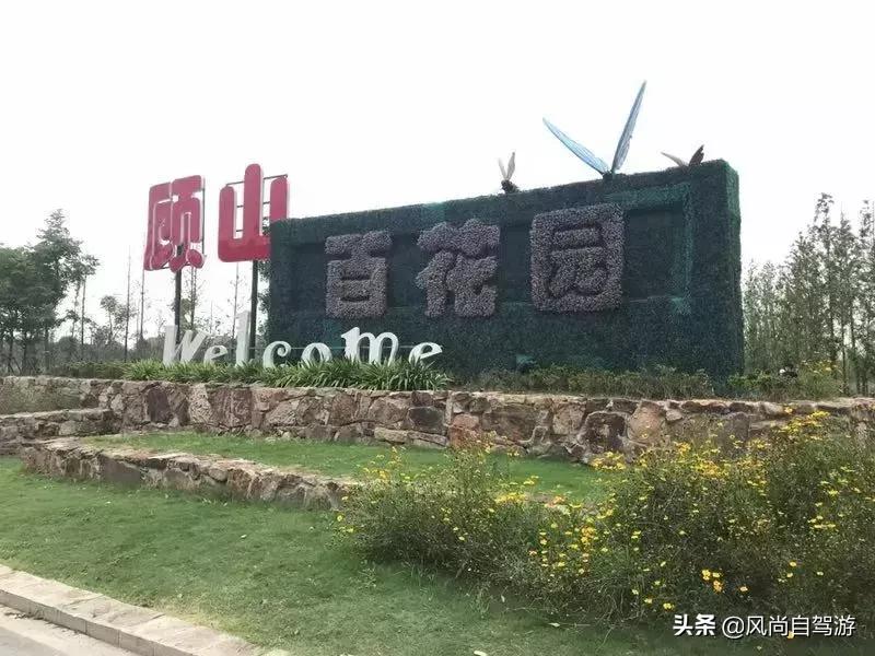 江阴顾山水蜜桃,金顾山蜜桃节开幕