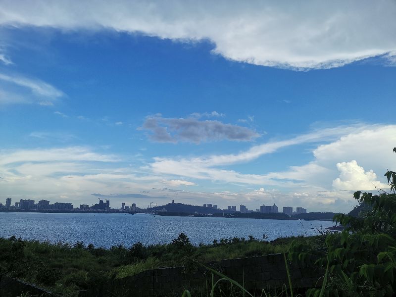 什么是科学的运动,什么叫科学的运动方式