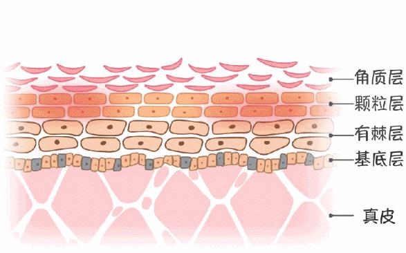 外国人有多怕衰老？法国皇室对抗老这么狂热？好夸张啊