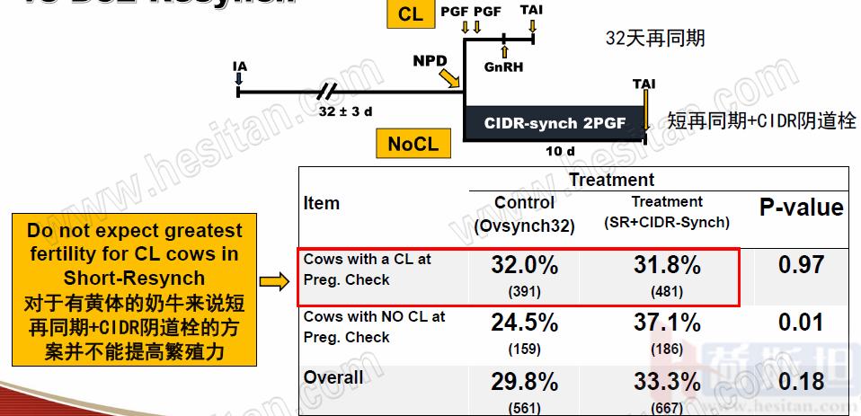 康奈尔大学JulioGiordano:如何通过技术整合优化繁殖性能