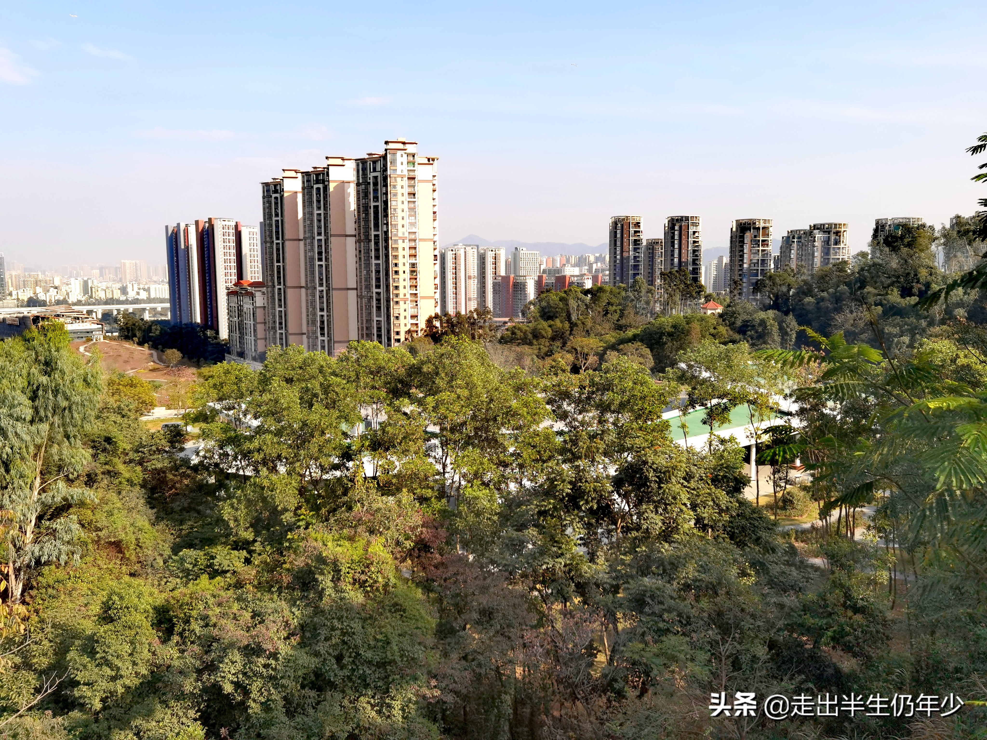 深圳足球场,深圳免费足球场