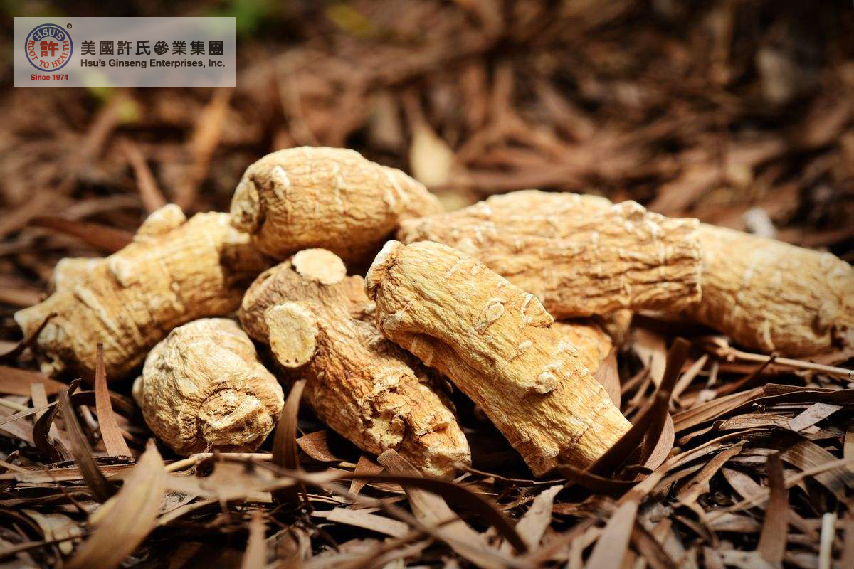 如何选购鹰牌花旗参,花旗参多少钱一斤正品